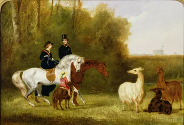 Königin Victoria, Prinz Albert und der Prinz von Wales im Windsor Park mit ihrer Lama-Herde